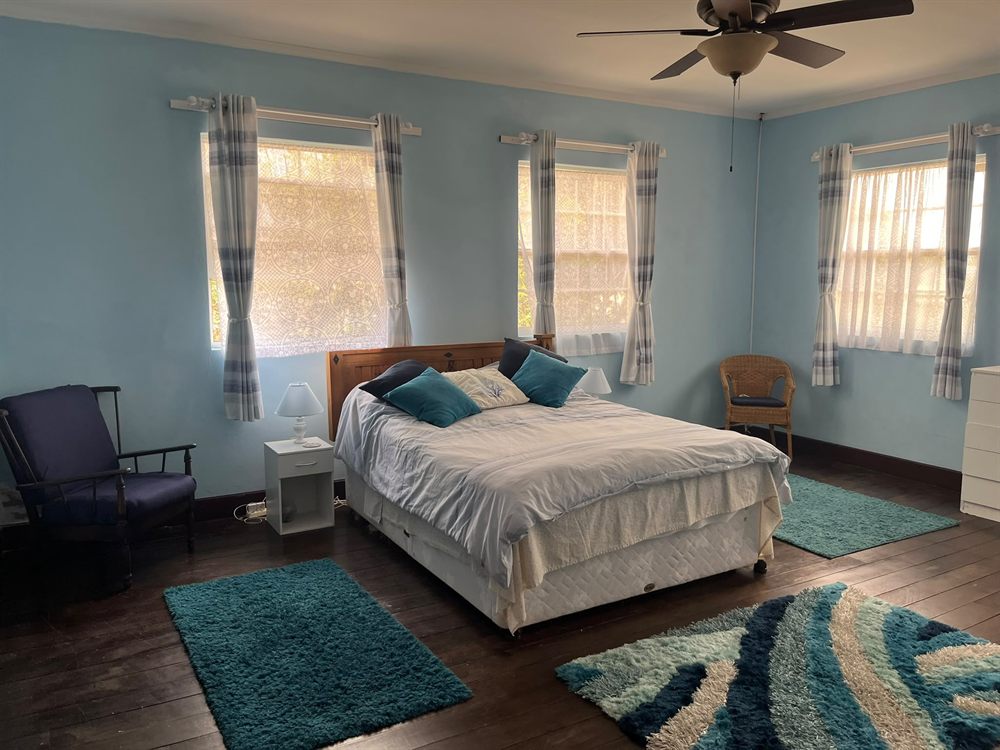 Large blue bedroom with a double bed, ceiling fan and windows on three sides